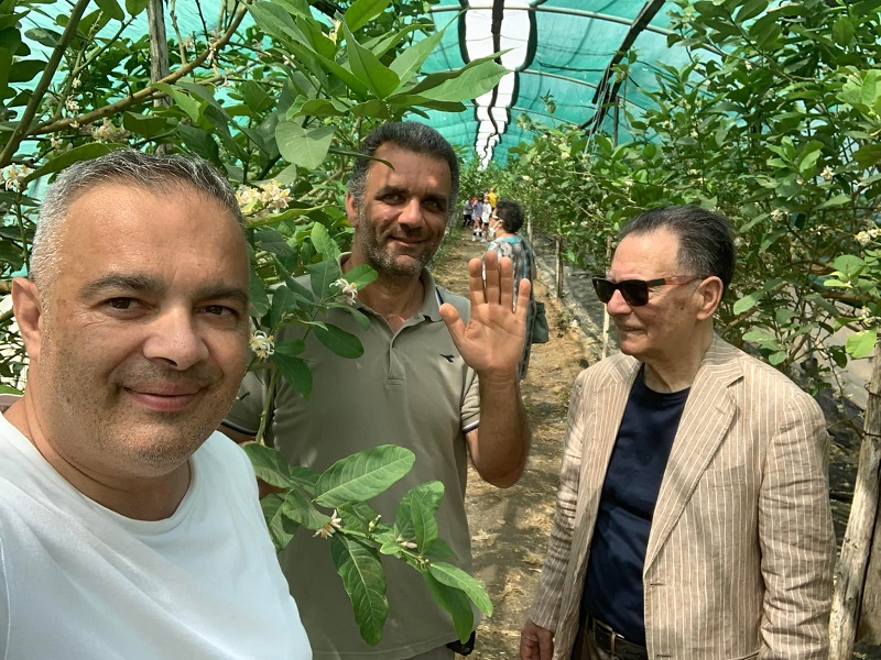 ALTO TIRRENO COSENTINO. “CEDROINT@UR” DIVENTA UNA ASSOCIAZIONE