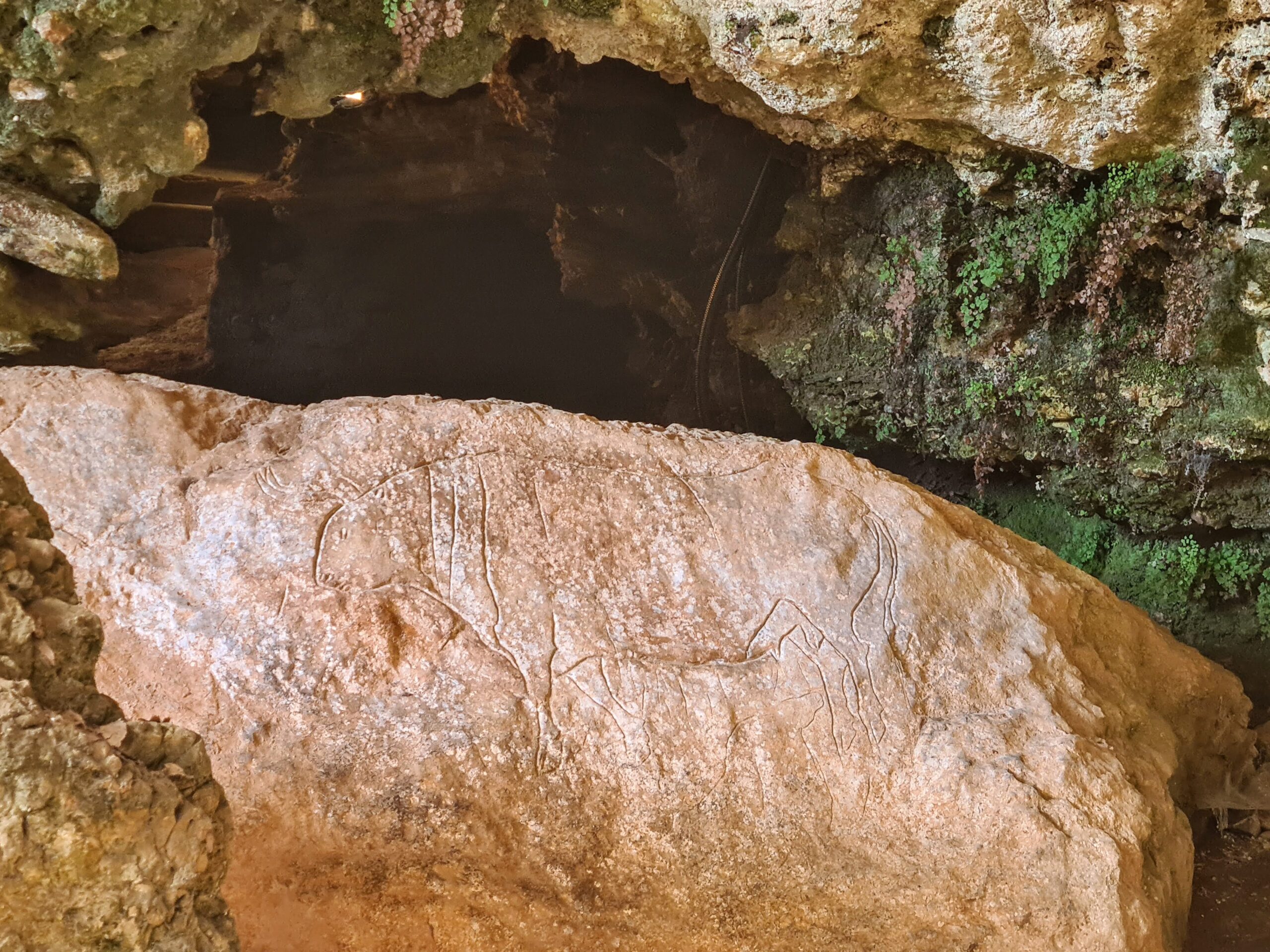 Papasidero. Grotta del Romito: gli scavi portano alla luce nuovi insediamenti