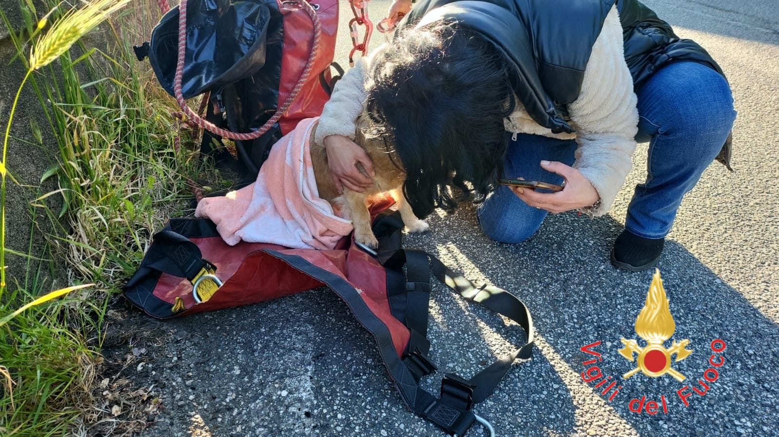 Dal Catanzarese. A Squillace i Vigili del Fuoco hanno salvato un cane caduto in un dirupo.