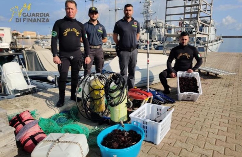 Dal Vibonese. “Ricci di mare pescati illegalmente”. Sequestro a Capo Vaticano