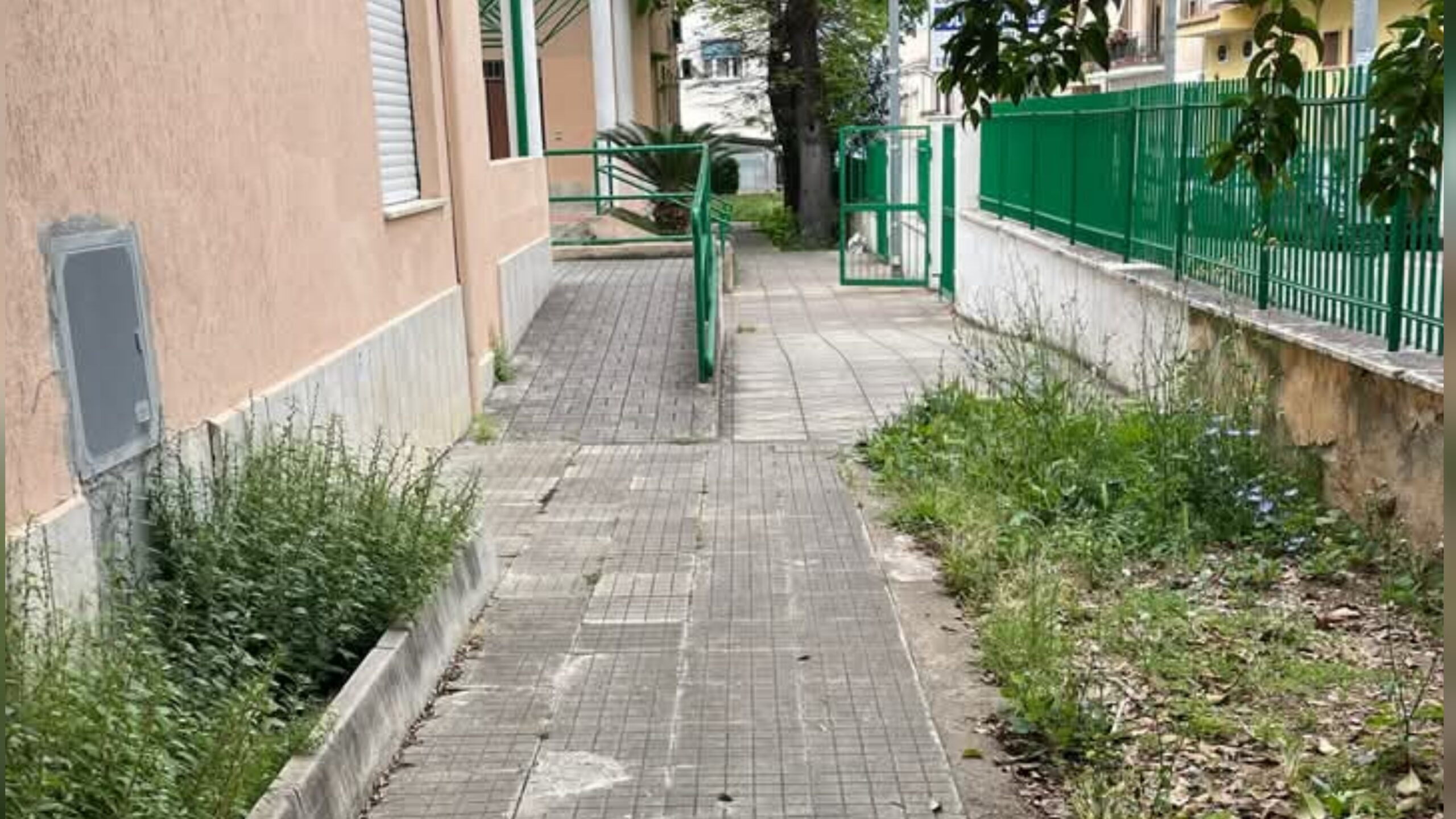 Diamante. “Incuria aree verdi e Bando biblioteche”. Il consigliere di minoranza Cauteruccio segnala