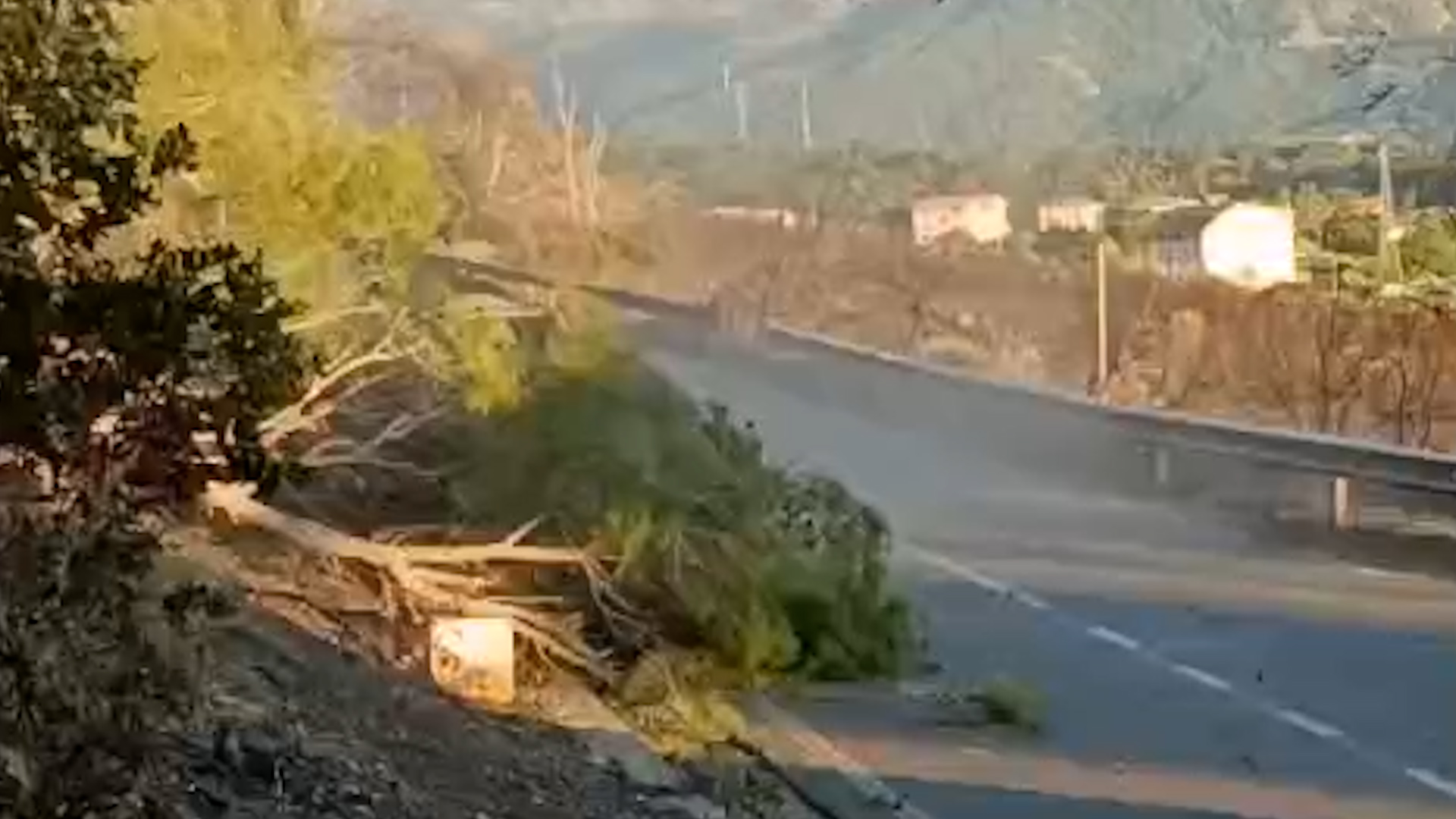 Santa Domenica Talao. Bonifica delle aree pesantemente colpite dall’incendio