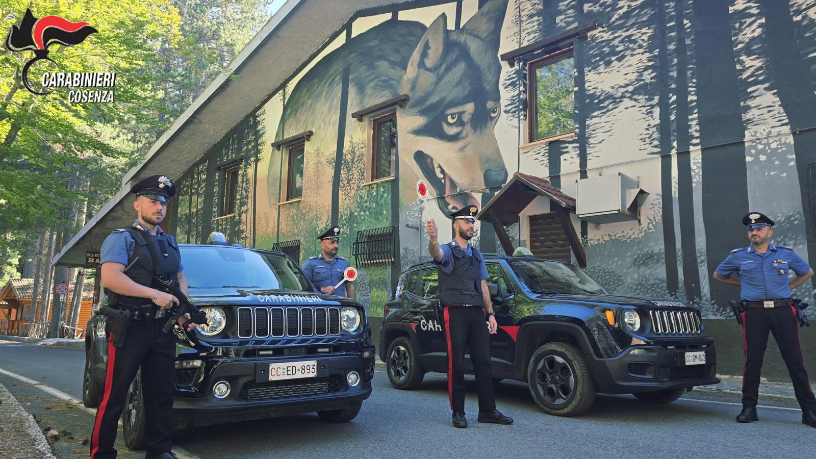 Dal Cosentino. “Sequestro di un parcheggio abusivo”. Sigilli nella riserva naturale dei “Giganti della Sila”