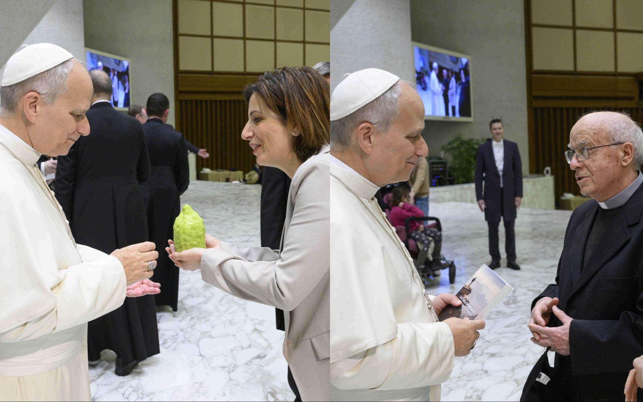 Papa Leone XIV riceve in dono il Cedro per i 60 anni di sacerdozio di Don Augusto Porso.